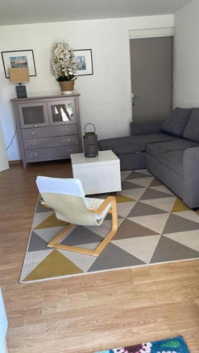 Appartement Confort
